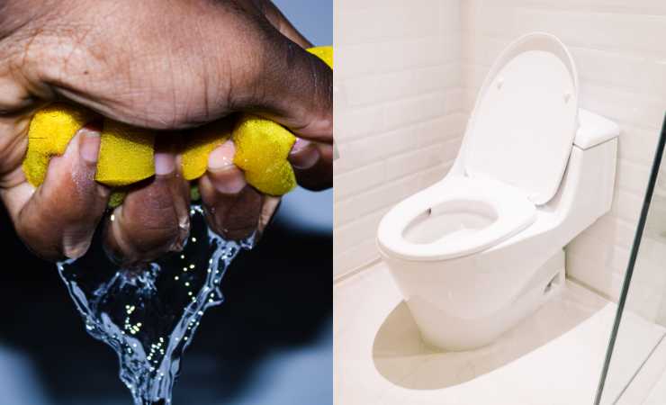 Mano che stringe una spugna e WC